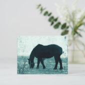 Winter Percheron Briefkaart (Staand voorkant)