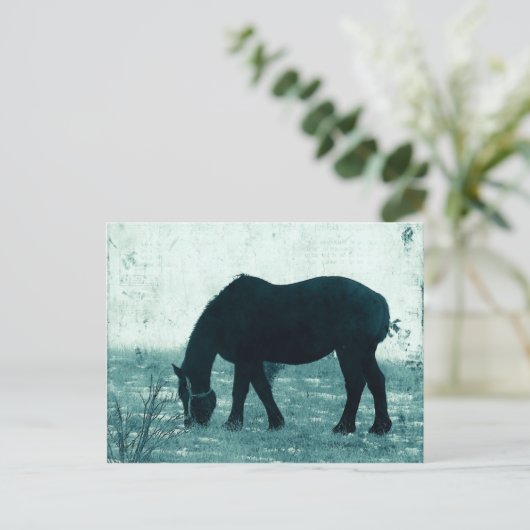 Winter Percheron Briefkaart (Staand voorkant)