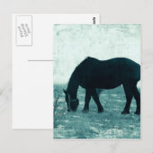 Winter Percheron Briefkaart (Voorkant / Achterkant)
