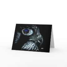 Winter Peregrine Traditioneel zonder tekst vooraan