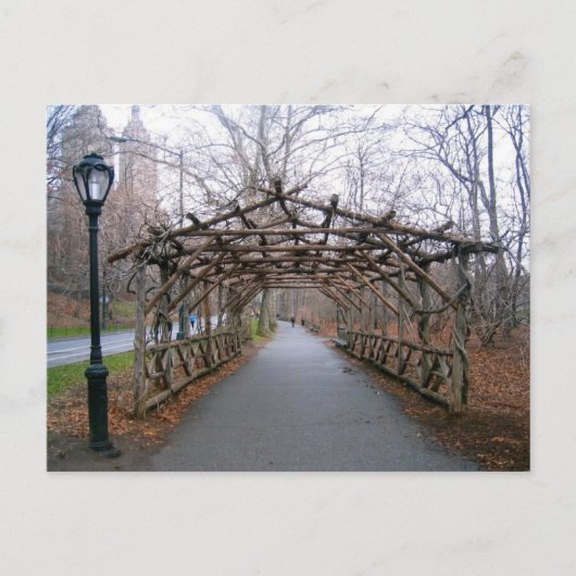 Winter Pergola Central Park New York City NYC Kaar Briefkaart (Voorkant)