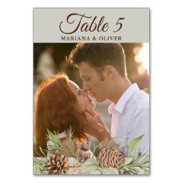 Winter Pine Beige Trouwtafel Nummer Kaart