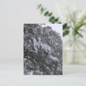 Winter Pine Briefkaart (Staand voorkant)
