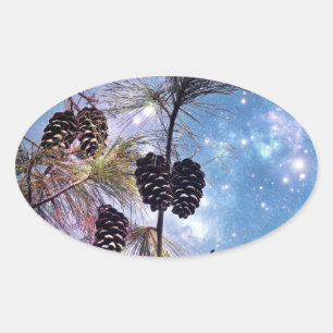 Winter Pine Cones onder een sterrenhemel Ovale Sticker