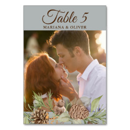 Winter Pine Grey Trouwtafel Nummer Kaart
