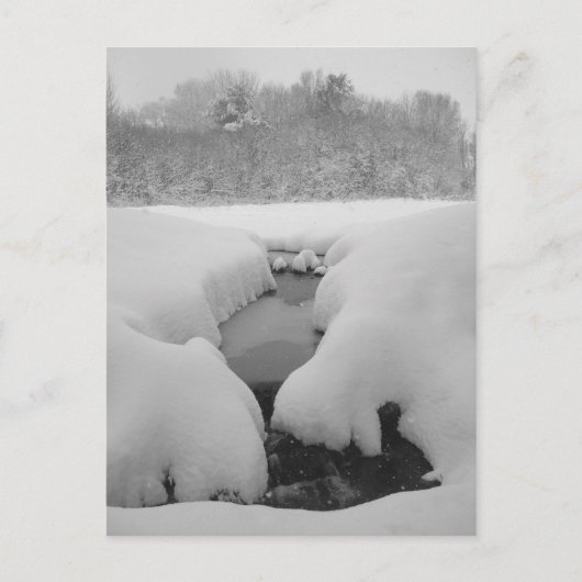 Winter Pond Briefkaart (Voorkant)