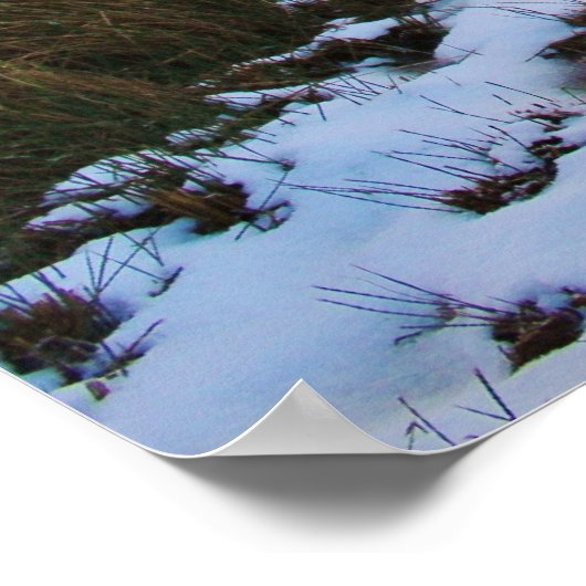 Winter Pond Poster (Hoek)