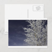 Winter Post Card Briefkaart (Voorkant / Achterkant)