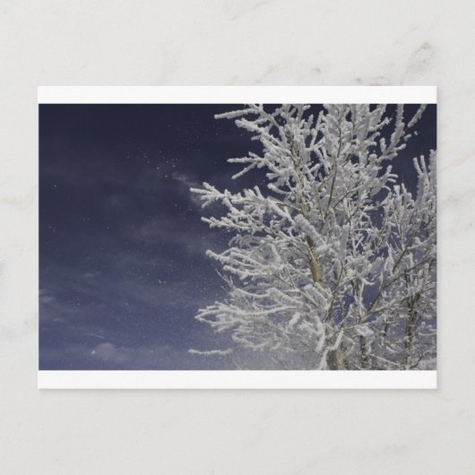 Winter Post Card Briefkaart (Voorkant)