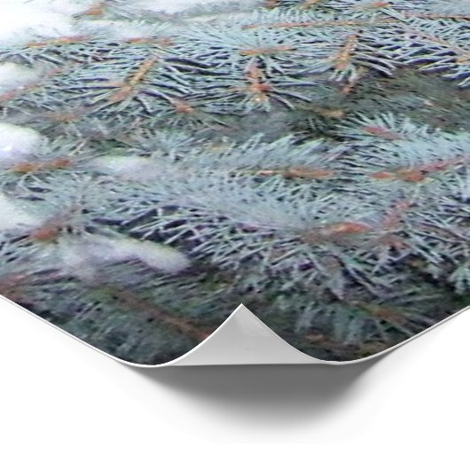 Winter Poster (Hoek)