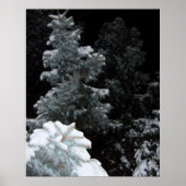 Winter Poster (Voorkant)