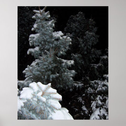 Winter Poster (Voorkant)