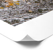 Winter Poster (Hoek)