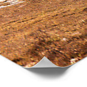 Winter....... Poster (Hoek)