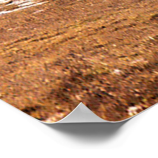 Winter....... Poster (Hoek)