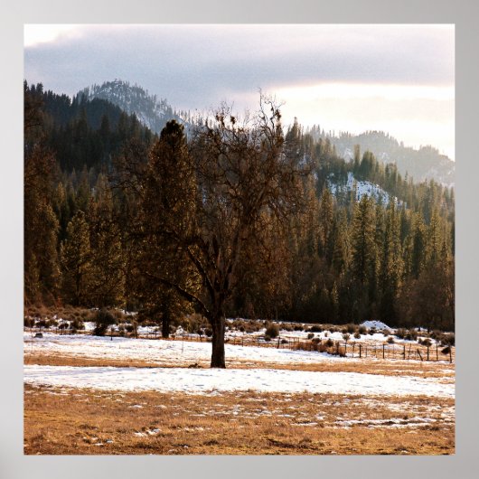 Winter....... Poster (Voorkant)