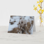 Winter Queen Anne's Lace Kaart (Gele Bloem)