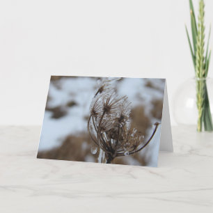 Winter Queen Anne's Lace Kaart
