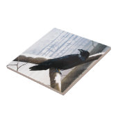 Winter Raaf Tegeltje (Zijkant)