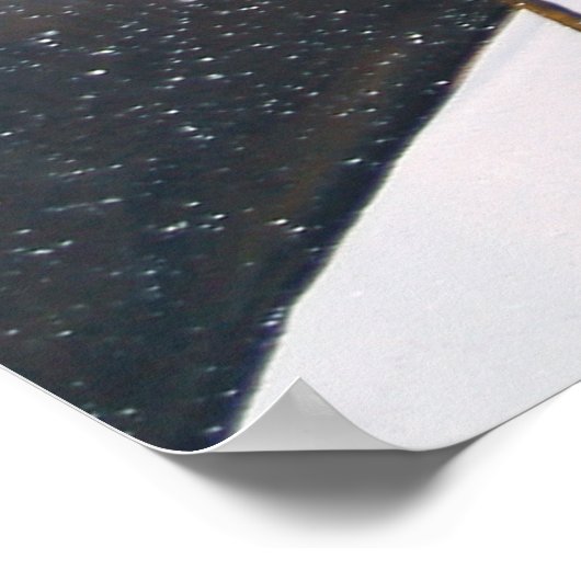 Winter Raven Forest Poster (Hoek)