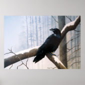 Winter Raven Forest Poster (Voorkant)