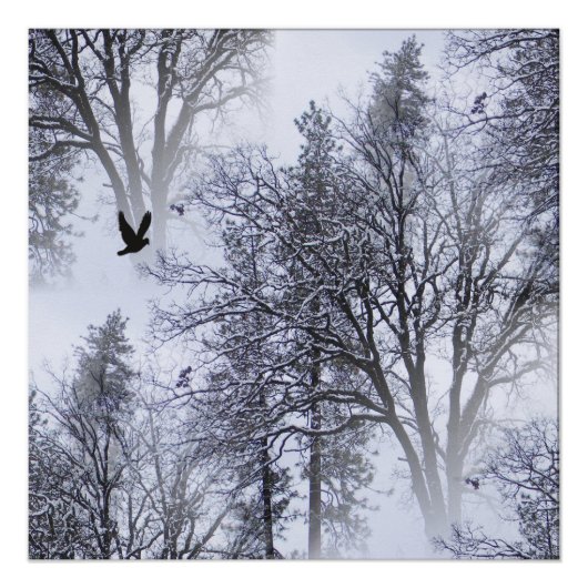 Winter Raven... Perfect Poster (Voorkant)
