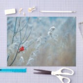 Winter Red Cardinale sneeuwfoto Tissuepapier (Craft)