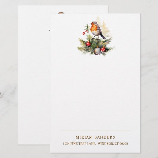 Winter Red Robin Christmas  Briefpapier (Voorkant / Achterkant)