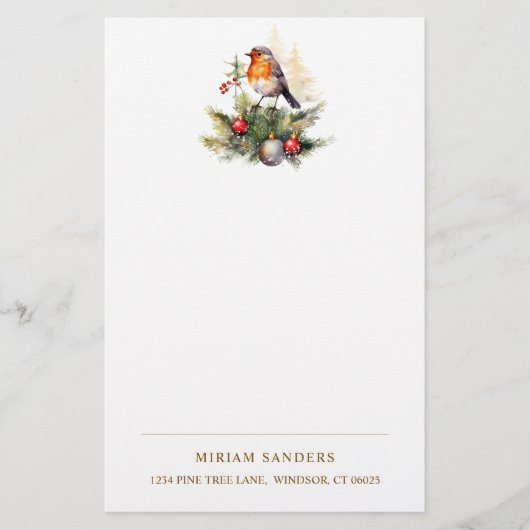 Winter Red Robin Christmas  Briefpapier (Voorkant)