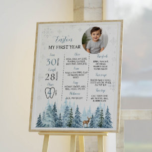 Winter rendieren Verjaardagsfoto Mijlpaal Poster