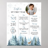 Winter rendieren Verjaardagsfoto Mijlpaal Poster (Voorkant)