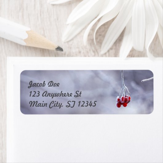 Winter retour adreslabels etiket (Insitu)