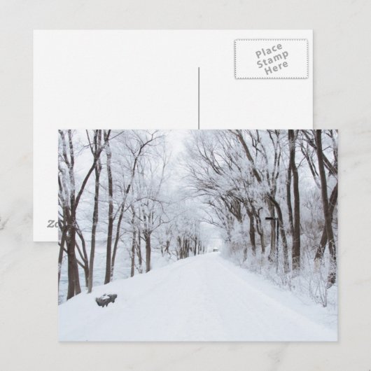 Winter Road Briefkaart (Voorkant / Achterkant)