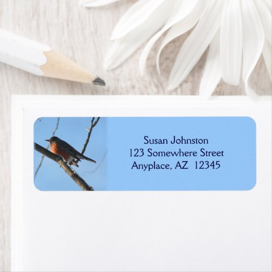 Winter Robin Animal Address Label (Insitu)