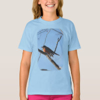 Winter Robin Animal Natuur