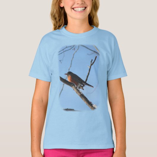 Winter Robin Animal Natuur T-shirt (Voorkant)