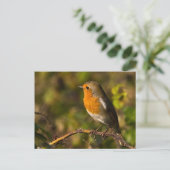 Winter Robin Briefkaart (Staand voorkant)