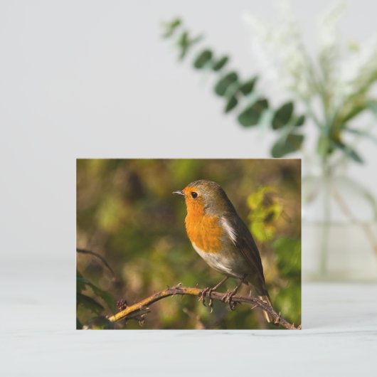 Winter Robin Briefkaart (Staand voorkant)