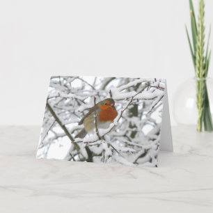 Winter Robin Luxe Kerst Kaart