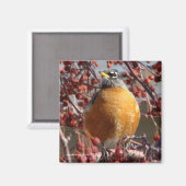 Winter Robin Magneet (Voorkant / Achterkant)