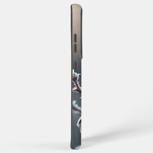 Winter Robin neergestreken op Frosted Roos Branch Samsung Galaxy Hoesje (Rechterkant)