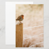 Winter Robin Redbormam Briefpapier (Voorkant / Achterkant)