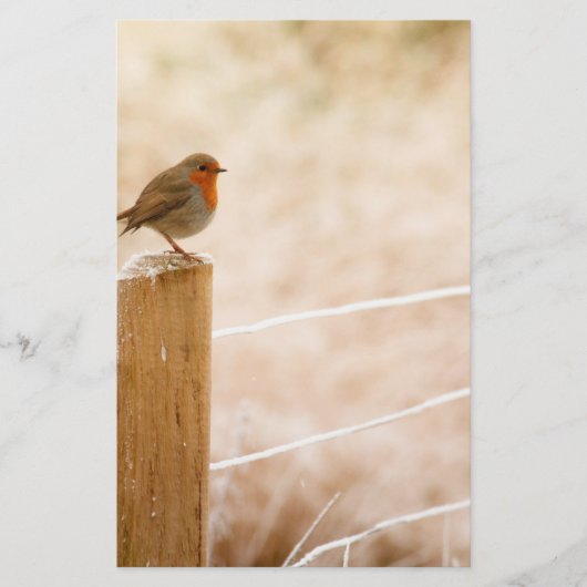 Winter Robin Redbormam Briefpapier (Voorkant)