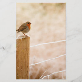 Winter Robin Redbormam Briefpapier