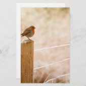 Winter Robin Redbormam Briefpapier (Voorkant / Achterkant)