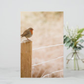 Winter Robin Redbormam Briefpapier (Staand voorkant)