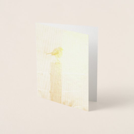 Winter Robin Redbormam Folie Kaarten (Voorkant)