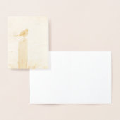 Winter Robin Redbormam Folie Kaarten (Display)