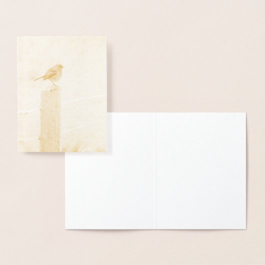 Winter Robin Redbormam Folie Kaarten (Display)