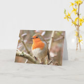 Winter Robin Redbormam Kaart (Gele Bloem)